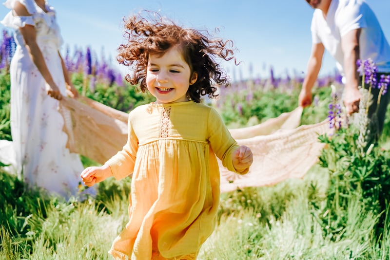 Seattle Motherhood Photography, a young girl with brown curls and locks runs past her parents folding up a blanket in a field of lavender